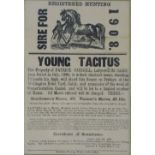 Co. Tipperary Stud Poster: "Young Tacitu