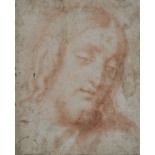 Volto di Cristo,  SCUOLA FIORENTINA, FINE  XVI - INIZIO XVII SEC., Sanguigna su carta, cm. 34,5x27