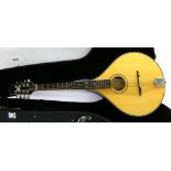 Trinity College octave mandolin, hard case