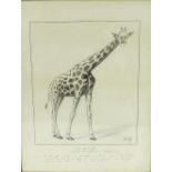 By Sir Francis Carruthers Gould (1844-1925) - 'The Giraffe', study of Arthur Balfour as a giraffe,