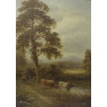 By H* Harris - study of two cattle on a river bank, signed, oil on canvas, 25" x 18", framed