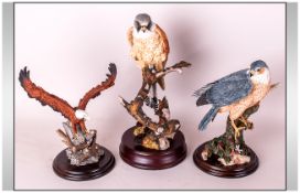 Two Country Artists, 'Monarch of the Skies' and 'Sparrow Hawk' and One Sharratt & Simpson Birds of