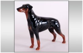 Beswick Dog Figure ' Doberman ' Model Num.3121. Designer Alan Maslankowski. Height 5.25 Inches.