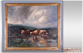 Wilton Morley Oil On Canvas Of Highland Cattle Wading Through A Brook, with a storm in the skys
