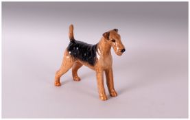 Beswick Dog Figure 'Airdale Terrier, Cast Iron Monarch'. Model number 962. Issued 1941-1989.