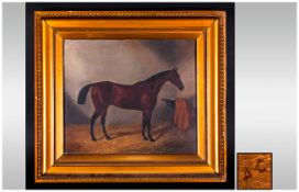A 19th Century Painting of a Standing Rare Horse, In His Stable Oil on Canvas. Monogrammed A.C. To