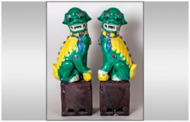 Chinese Foo Dogs, A Pair Decorated In Famile Verte Coloured Glazes on Aubergine Decorated Bases.