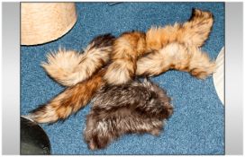 Collection Of Fox Fur including tails & collar