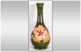 Moorcroft Vase ' Coral Hibiscus ' Design on Green Ground. c.1990's. Excellent Condition, Stands 11