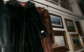 Long Brown Fur Coat ( Dark Brown Stripes )