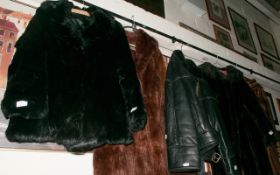 Short Black Fur Coat.