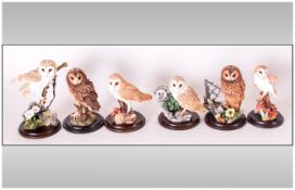 Country Artists Handpainted, Handcrafted Owl Figures including Tawny Owl with broken window, Barn