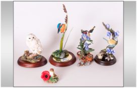 Collection of Assorted Bird Figures including Border Fine Arts 'Reflections' Kingfisher, Country