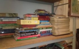 Collection of Books