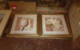 Pair of Flower Paintings In Gold Frames.