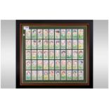 Framed Reproduction Cigarette Cards Showing Players Of The England Rugby Team. 50 cards in total.