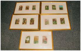 A Set Of Five Victorian Watercolour Drawings Of Botanical Subjects, three vignettes in each frame.