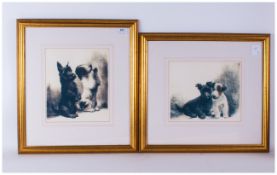 Pair Of Etchings Of A Baby Scotty Dog With A Baby Jack Russell monogrammed F.C.H framed & glazed.