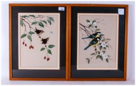Pair Of Watercolour Drawings Signed 'Crank' depicting Wrens and Great Tits in detail framed &