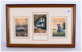 W.G.Rollinson Limited Edition Print Of Badgers, three images contained in one frame. Pencil