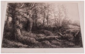 A. Legros Etching ' A Woodland Study ' Original Plate. Unframed. Size 11 x 16 Inches.