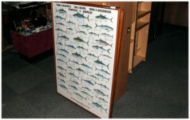Poster - Tunas and Mackerels, Thons and Maquereaux, Scandinavian Fishing Year Book, Hedehusene