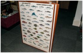 Poster, American Fish Poissons D Amerique Du Nord Scandinavian Fishing Year Book. Hedehusene Demark,