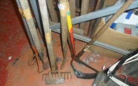 Assorted Tools ( Lawn Edging Tools )