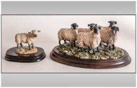 Country Artists Group Figure ' A Flock of Black Headed Sheep ' Raised on a Circular Base. + One