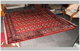 Bokara Type Tekke Carpet, modern, 68x90''