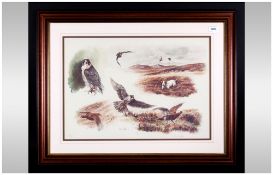 Colin Woolf Pencil Signed Print Of Hunting Dogs & Falcons, number 68/250, dated 92 Framed &