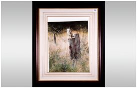 Pencil Signed Print By Steven Townsend Of A Barn Owl Resting On a Post, Framed & glazed. 24x28''