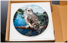 Danbury Mint Complete Set Of Plates, 12 in total. 'The Majesty Of Owls' Mint condition.