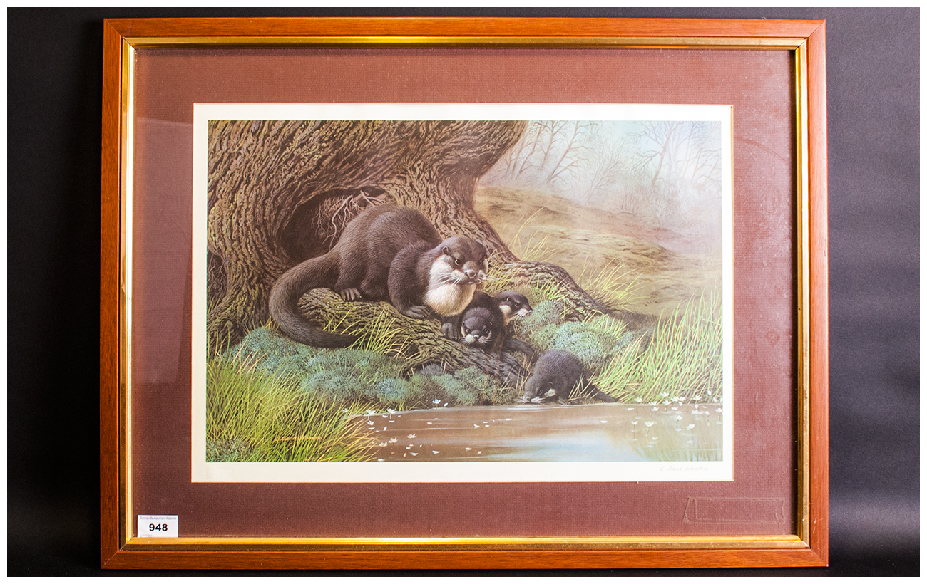 C David Johnston 1946 Limited Edition And Pencil Signed By The Artist Colour Print, Otter Family.