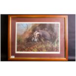 C David Johnston 1946 Limited Edition And Pencil Signed By The Artist Colour Print, Badger And