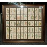 Framed Set of 50 Period Characters From Dickens Cigarette Cards Issued by John Player & Sons. In
