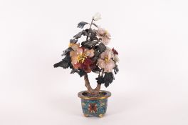 Japanese Bonsai - Miniature Tree, The Leaves of Different Colours with Ornate Plant Pot. Stands 11