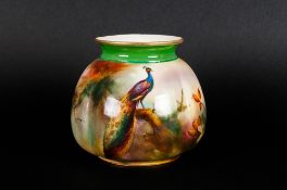 Royal Worcester Hand Painted Globular Shaped Vase, Features a Peacock In a Woodland Setting. Date