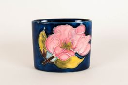 Moorcroft Small Trinket Pot ' Pink Magnolia ' Design on Blue Ground. c.1970's. 2.5 Inches High & 3