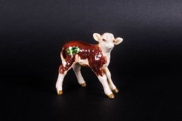 Beswick Animal Figure ' Hereford Calf ' Brown and White Gloss. Model Num.1406B. Designer A.