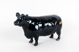 Beswick Animal Figure ' Aberdeen Angus Cow ' Black Gloss. Model Num.1563. Issued 1959-1989. Designer