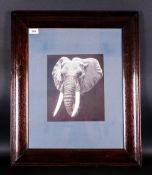 R.D Gallion Print Of Elephant in dark wooden antique frame,