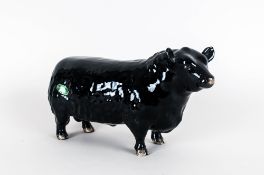 Beswick Animal Figure ' Aberdeen Angus Bull ' Black Gloss. Model Num.1562. Designer A. Gredington.