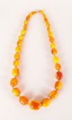 Butterscotch Amber Large Bead Necklace, a graduated, knotted necklace, 30 inches long, of