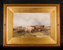 W.H Pigott 1810-1901 Titled 'Highland Cattle' watercolour, signed & dated 1895 lower right. Frames