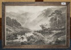 19thC Photogravure Of A Stag In The Scottish Highlands, 15 x 22 Inches