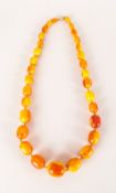 Butterscotch Amber Large Bead Necklace, a graduated, knotted necklace, 30 inches long,