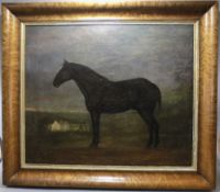 A Primitive Mid 19thC Oil Painting on Canvas of a Thoroughbred Horse.