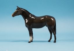 Royal Doulton Horse Figure ' Thoroughbred Stallion ' Small Size. Model Num 1992. Designer A.