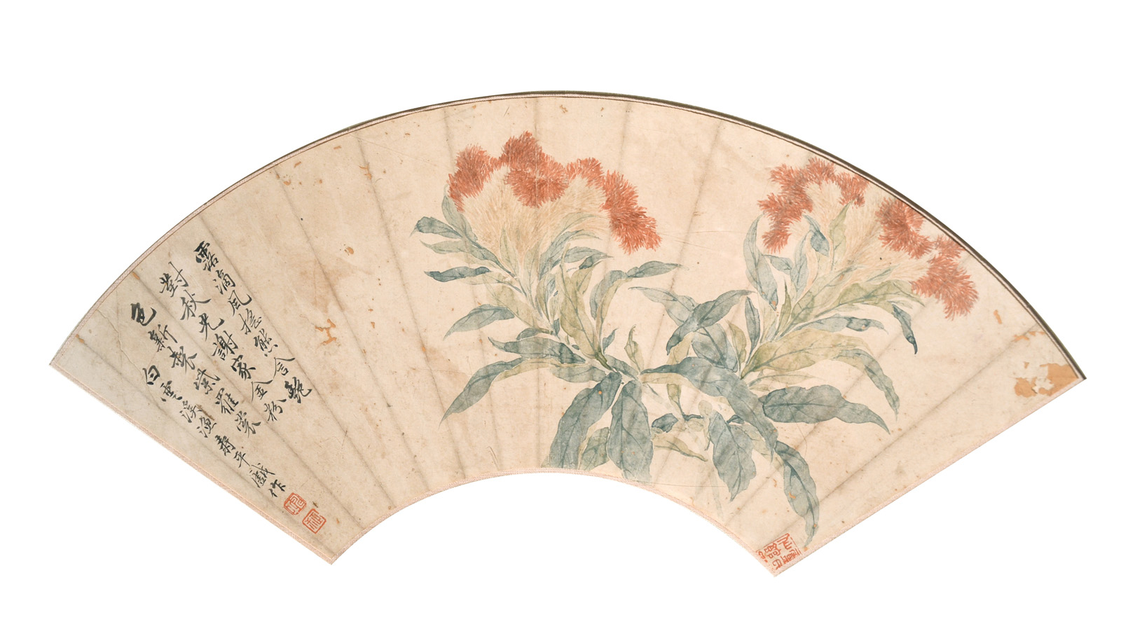 清 惲壽平 (1633 - 1690) 花卉扇面 設色水墨紙本扇面鏡框 款識： 露滴風搖熊， 舍艷對秋光； 謝家金粉色， 新製紫羅裳。 白雲溪漁 壽平戲作 鈐印：(正叔)(壽平)一印不辨 Yun